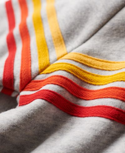 Rainbow stripe logo hoodie